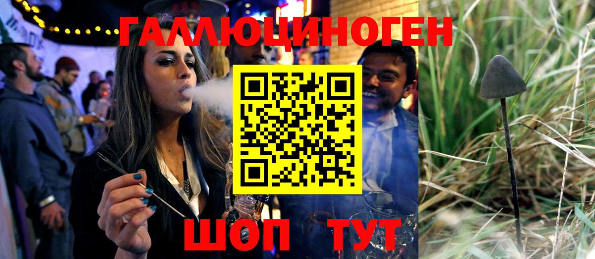 Зеленокумск  Псилоцибиновые грибы прущие грибы  Вход с VPN  Псилоцибиновые грибы Cubensis 