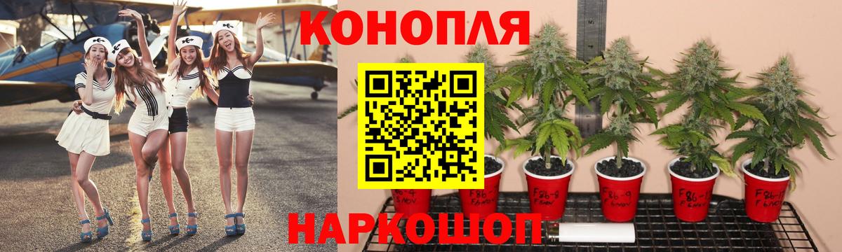 Бошки Шишки марихуана Зеленокумск